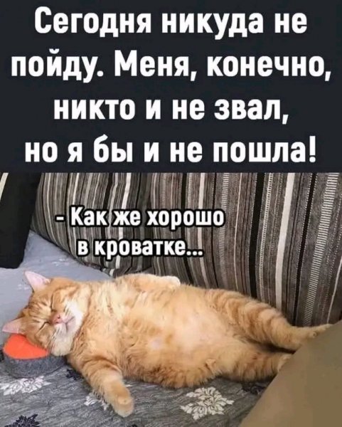 file_103380053