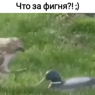 IMG 20230916 054814