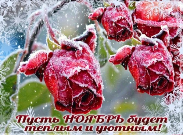 file_98190204
