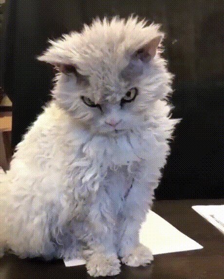 Понедельник