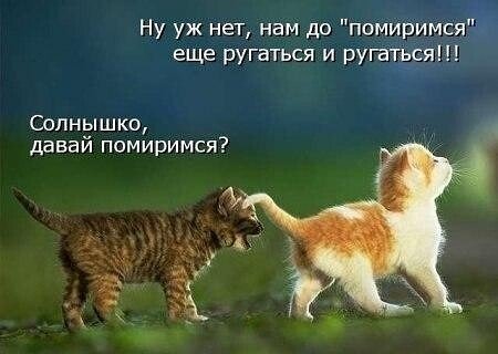file_87071980
