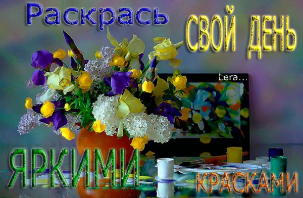 раскрась свой день