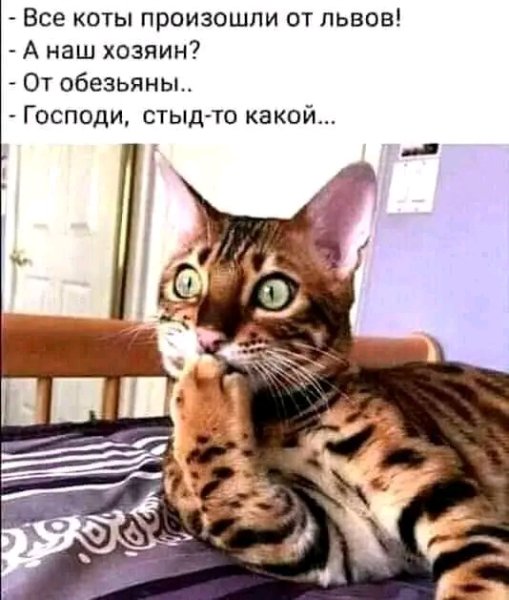 file_103312120