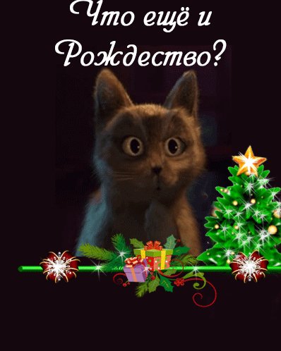 file_83839571