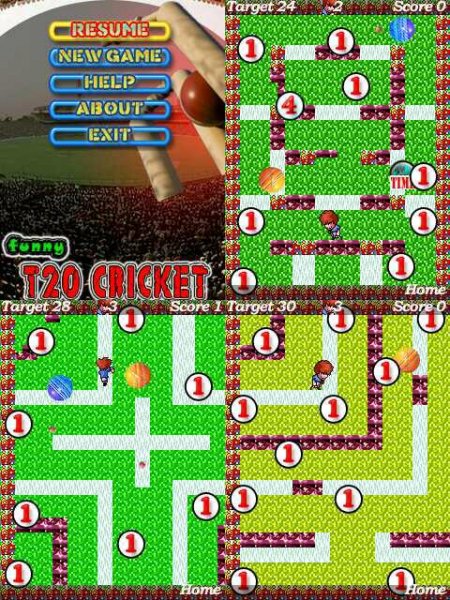 Funny T20 Cricket 128x160 5200