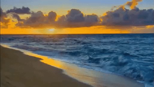 file_68524571