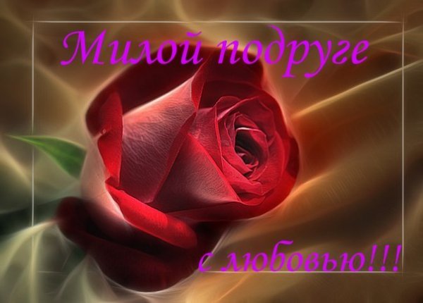 Bnie4pr6 54