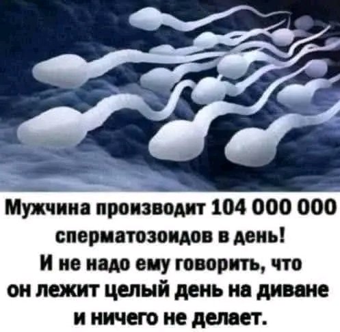 file_103268722