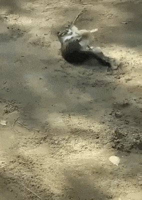 ))