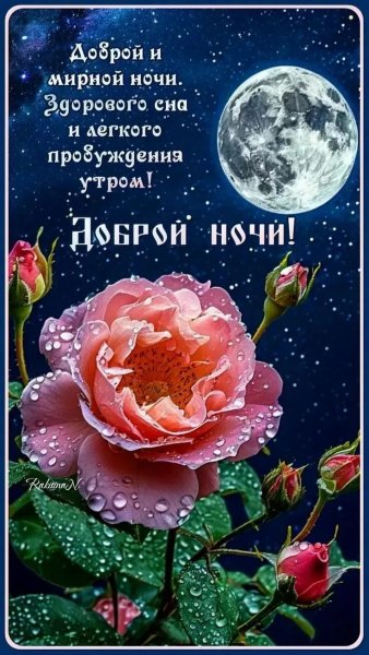 IMG 20260903 111349 091