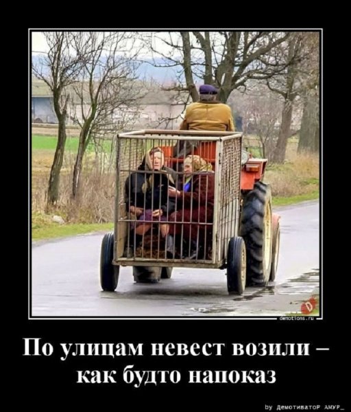По улицам невест возили
