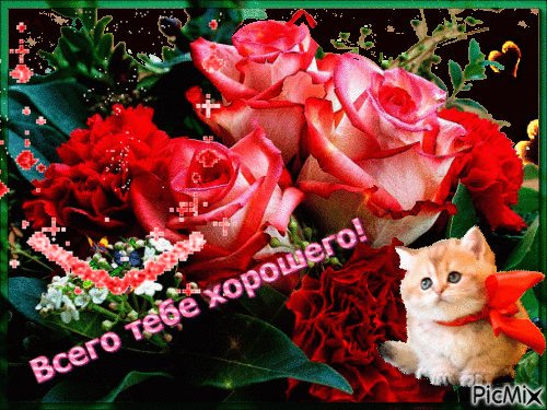 file_73861904