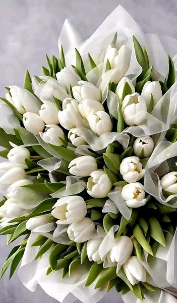 file_103170039