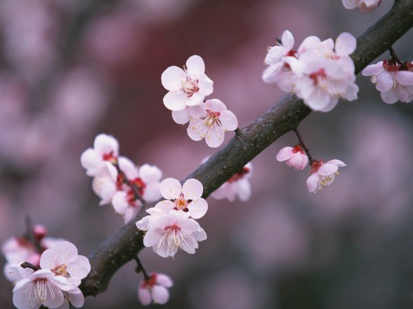 Image (23)