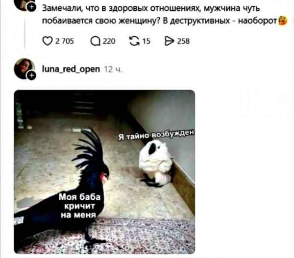 file_103279327