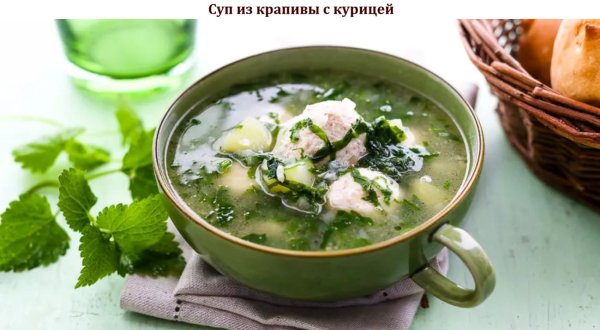 Суп из крапивы с курицей