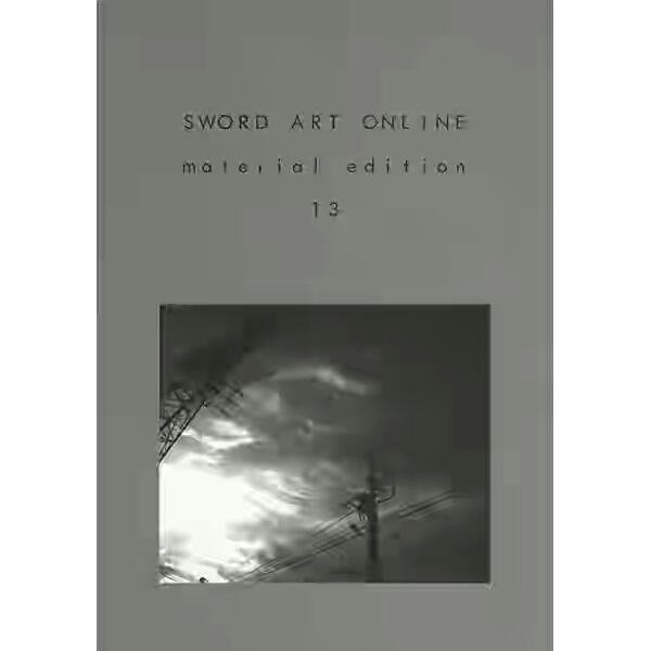 SAO Material Edition 13 fb2