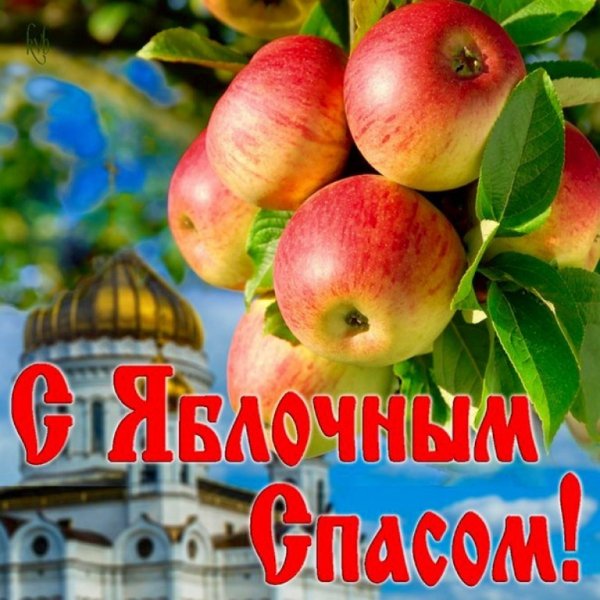 image (16)