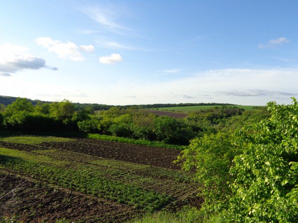 DSC04117