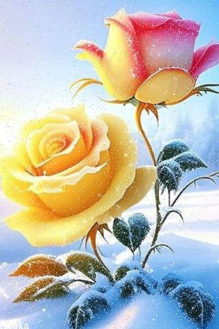 file_93260503