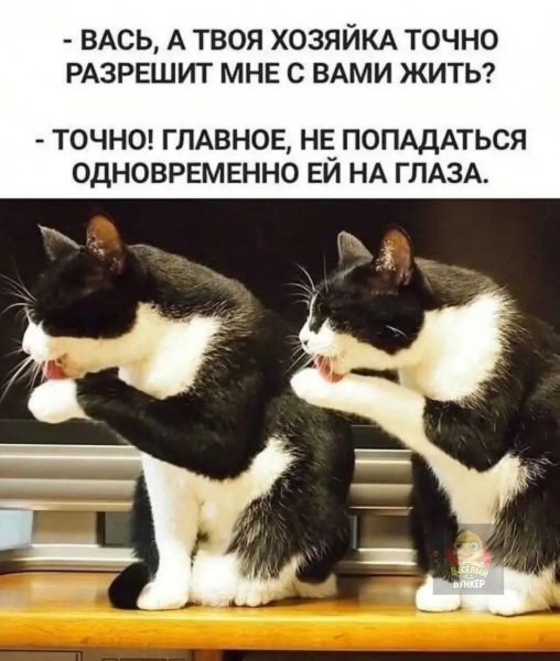 FB IMG 1773214903175