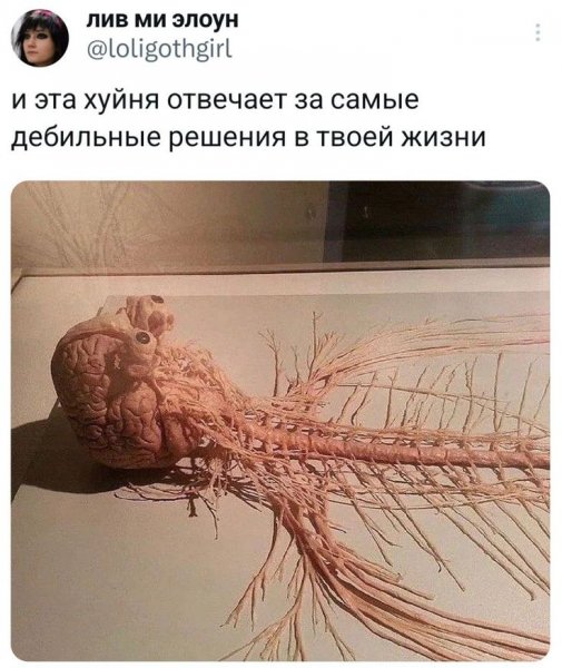 B34c0991b0ba577aff7fbe308c4cd0f4