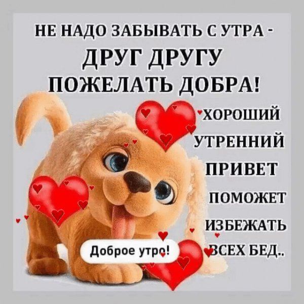 file_90038880