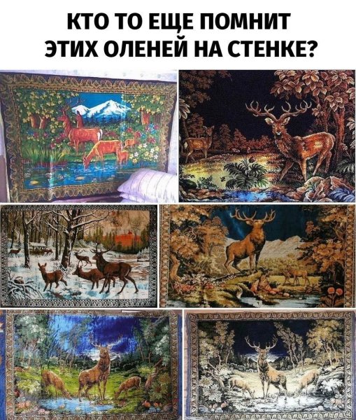 f.1200.1200.0