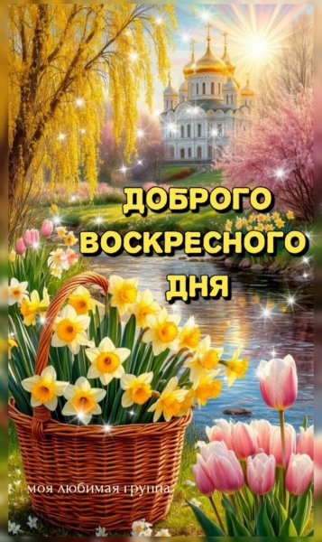 IMG 20260418 094947