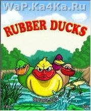 Rubber Ducks