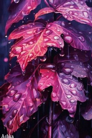 file_94807433