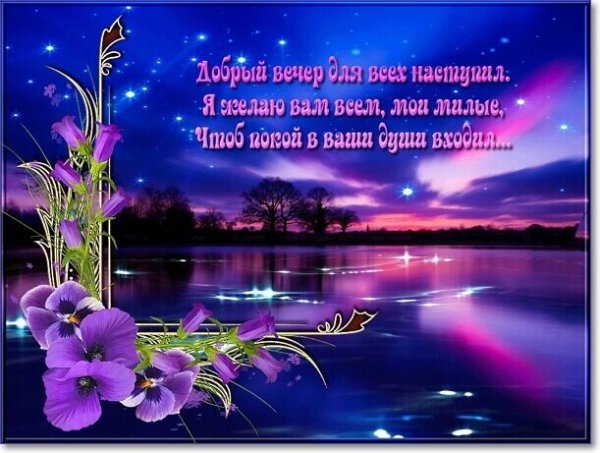IMG 20181231 980658