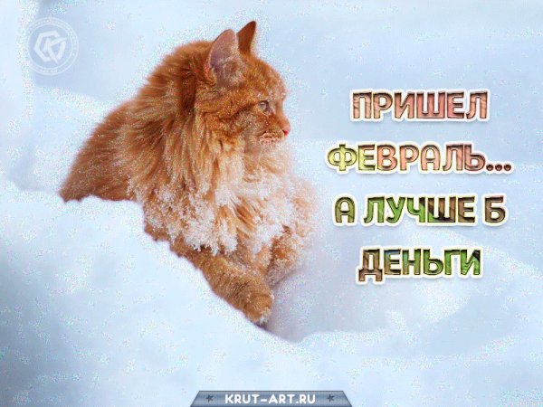 file_92704168