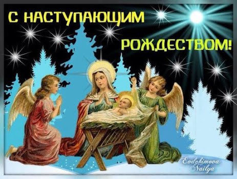 file_76078078