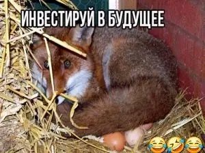 file_103411788