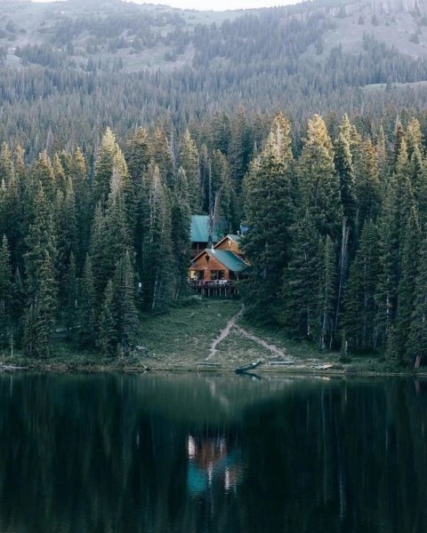 file_95008448