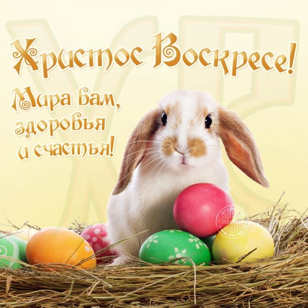 IMG-20230416-WA0011