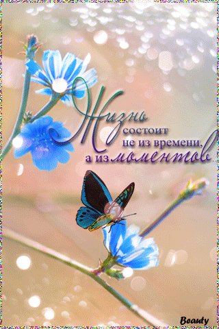 file_76116526