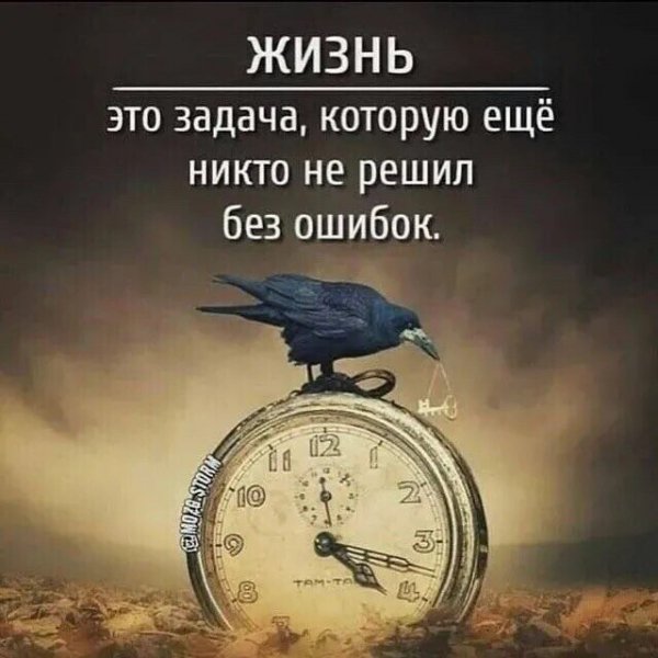 IMG 20250228 180321