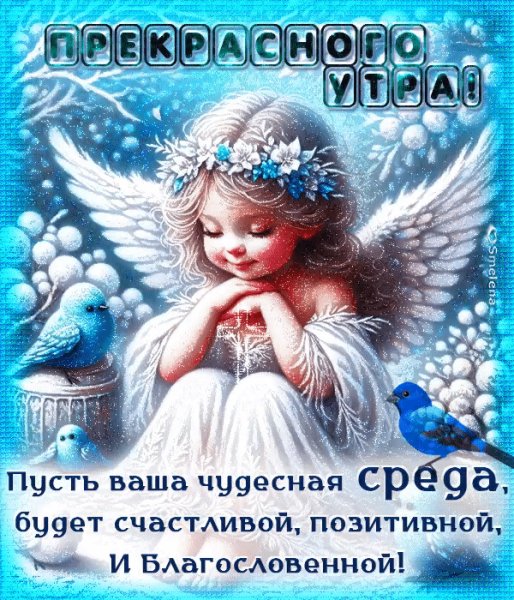 IMG 20260204 162800