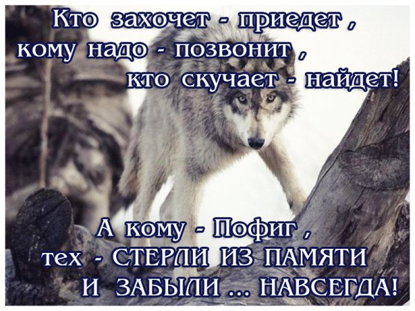 image (55)