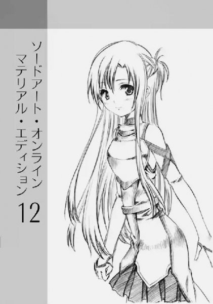 SAO Material Edition 12 16.8 fb2