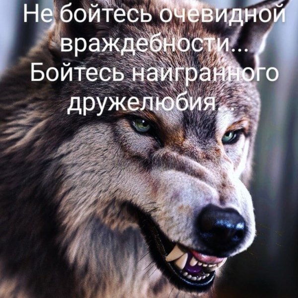 Bcf08dfcfe4d717ce26141a449cff919