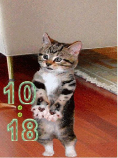 Котенок и щенок