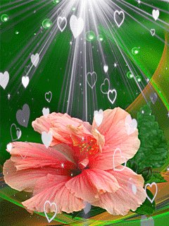 file_64296824