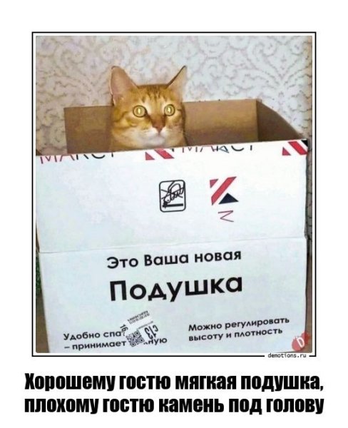 Хорошему гостю