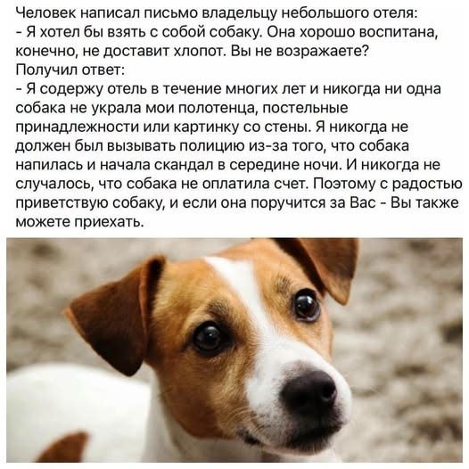 file_103416918