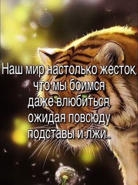 IMG 20260203 102008