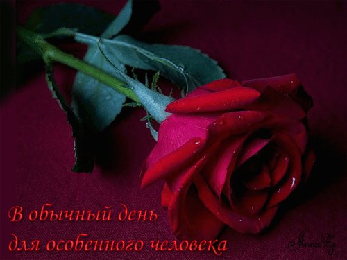 В обычный день для особого человека