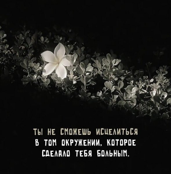 IMG 20260101 155836